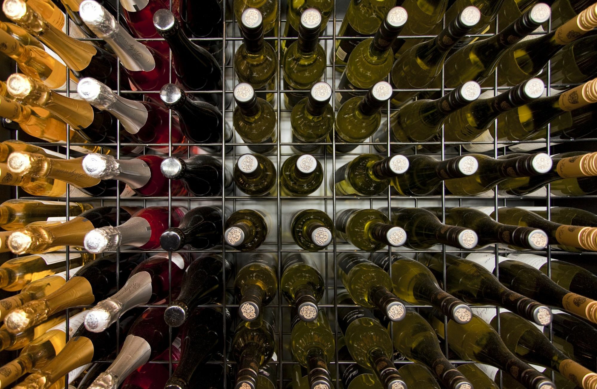 Balgownie Estate Yarra Valley Ярра-Ґлен Екстер'єр фото Wine bottles in a wine rack